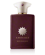 Amouage Boundless Eau de Parfum Spray 100 ml