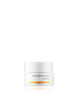 Dr. Hauschka Face Care Lip Balm 4,5ml