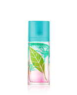 Elizabeth Arden Green Tea Coconut Breeze Eau de Toilette Spray 50 ml
