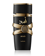 Lattafa Collection Lattafa Asad Eau de Parfum Spray 100 ml