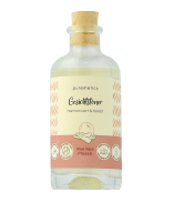 puremetics Gesichtspflege Gesichtstoner Aloe Vera Pfirsich Reinigungswasser 90 ml