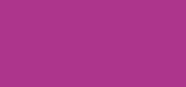 Nail Polish 51 Purple Secret