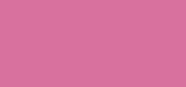 Pot Rouge Velvet Matte 04 Peony
