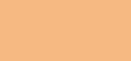 Vitamin Enriched Pressed Powder 02 Peach