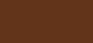 Weightless Skin N-100 Neutral Chestnut