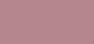 Joli Rouge Case Rose Gold
