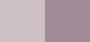 All About Shadow Duo 21 Twilight Mauve/Brandied Plum