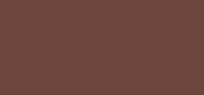 Hair Magica CC Chocolate Brown