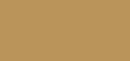 Double Wear Stay-in-Place Makeup SPF 10 3W1 Tawny