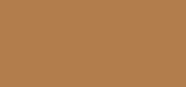 Skin Tint T1