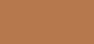 Skin Tint T2