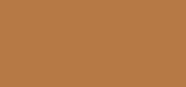 Skin Tint T3