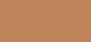 Dualsenses Color Revive Dark Warm Blonde