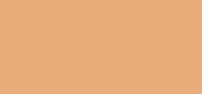Terracotta Le Teint Glow 3.5W Warm/Doré