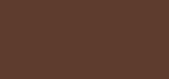 Brow Fix 03 Medium Brown