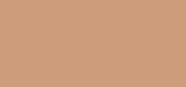 Skin Caviar Concealer Foundation SPF 15 Honey Beige