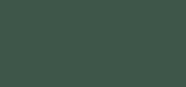 Le Stylo Waterproof 06 Vision Ivy