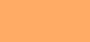 Studio Finish Concealer SPF 35 NC40