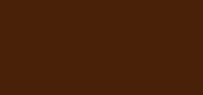 Skin Equal 100 Mocha