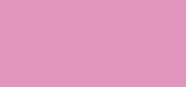 Duplex 62 Love & Roses