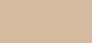 My Skin Icon 1N Ecru
