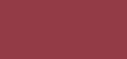 Moisture Intense Lipstick 03 Burgundy Red