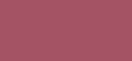 Moisture Intense Lipstick 06 Grace Rose