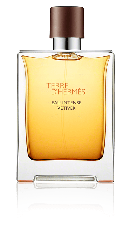 TERRE D'HERMÈS Eau Intense Vétiver 100ml Terre d'Hermès Eau Intense Vétiver Eau de parfum - 100 ml | Hermès