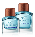 Hollister Canyon Escape for Him