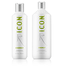 ICON Detox