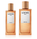 Loewe Solo Esencial