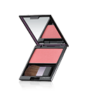 Shiseido Luminizing Satin Face Color