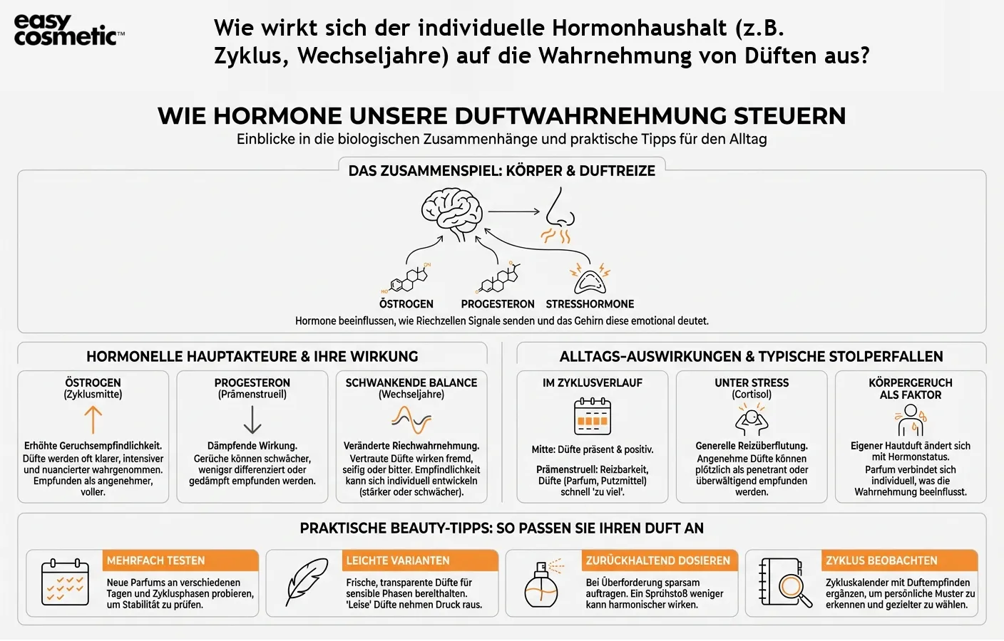 Wie wirkt sich der individuelle Hormonhaushalt (z.B. Zyklus, Wechseljahre) auf die Wahrnehmung von Düften aus?