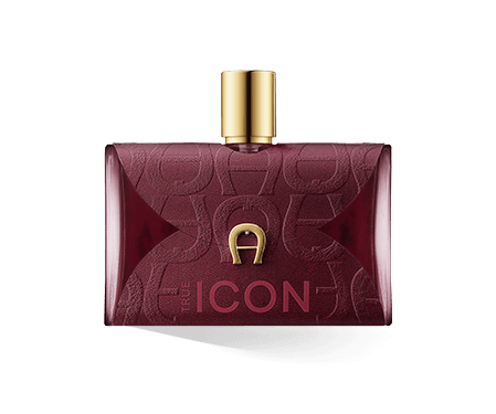 Aigner True Icon