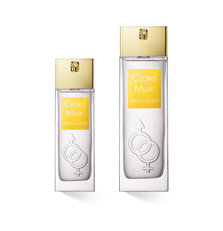 Alyssa Ashley Cedro Musk