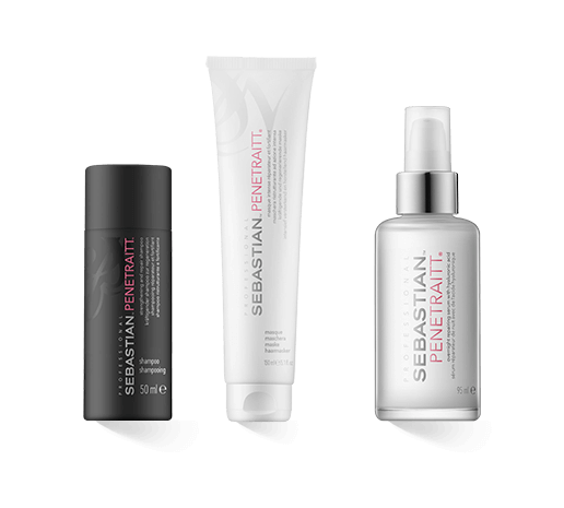 Sebastian Professional Penetraitt